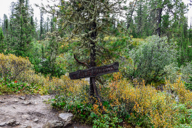 Similar image 21998564