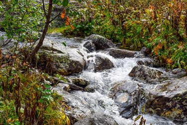 Similar image 21998566