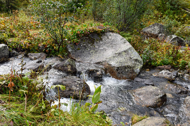 Similar image 21998568