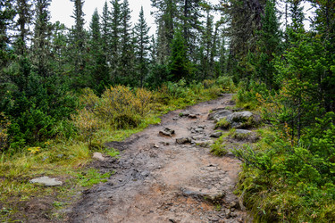 Similar image 21998569