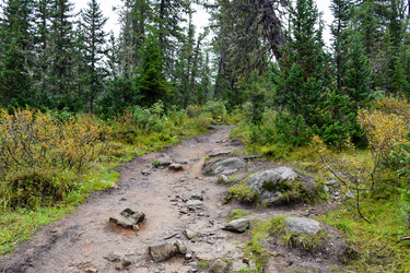 Similar image 21998570