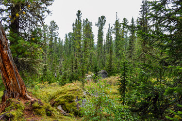 Similar image 21998571