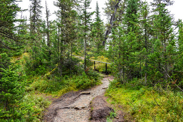 Similar image 21998572