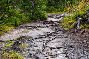 Similar image 21998573