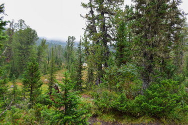 Similar image 21998574