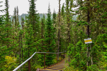 Similar image 21998581