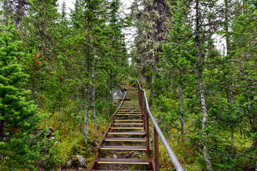 Similar image 21998582