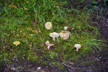 Similar image 21998595