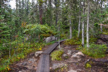 Similar image 21998596