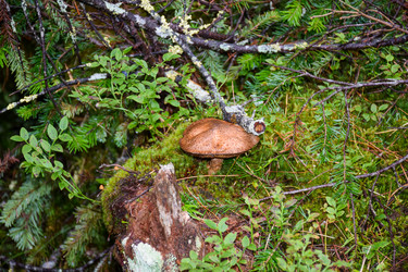 Similar image 21998597