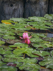 Similar image 22006697