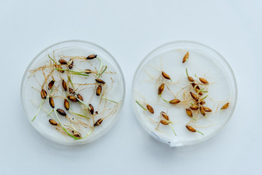 Similar image 21998599