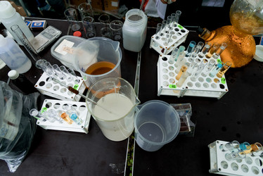 Similar image 21998605