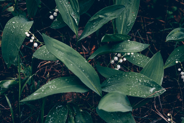 Similar image 21998609