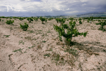 Similar image 21998612