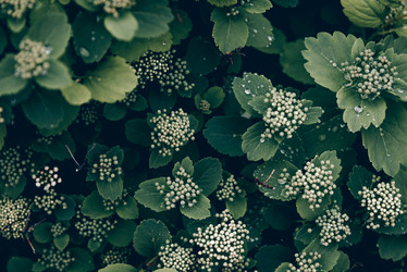 Similar image 21998621