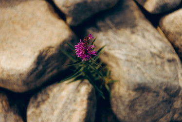 Similar image 21998623