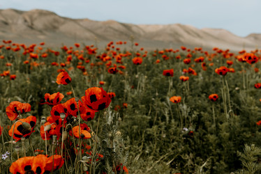 Similar image 21998627