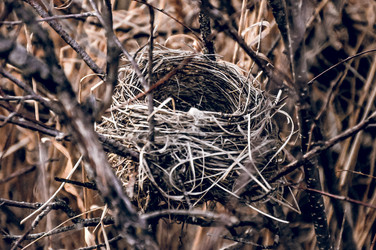 Similar image 21998632