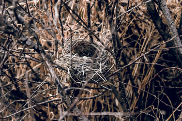 Similar image 21998635