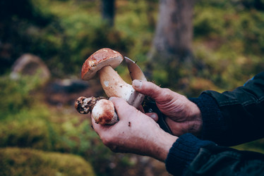 Similar image 21998638