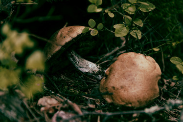 Similar image 21998640