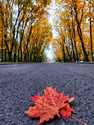 Similar image 22006704