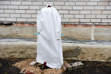 Similar image 21998661