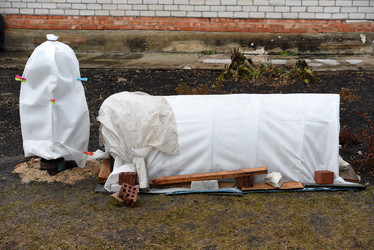 Similar image 21998662