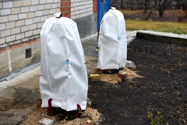 Similar image 21998663