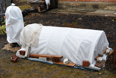 Similar image 21998664