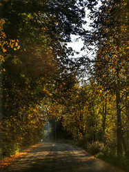 Similar image 22006711