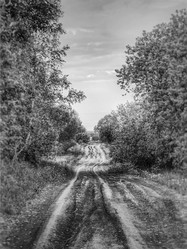 Similar image 22002090