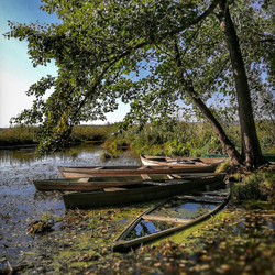 Similar image 22002095