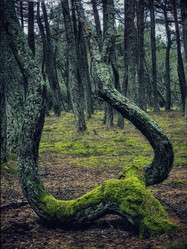 Similar image 22006715