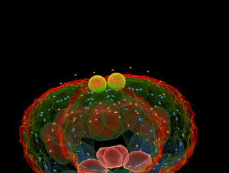 Similar image 22019286