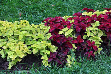 Similar image 21998723