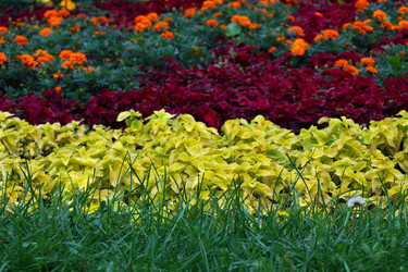 Similar image 21998724