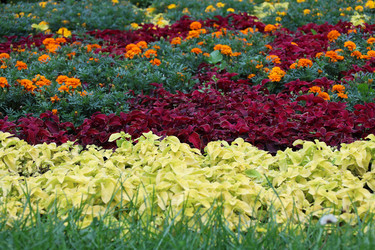 Similar image 21998725