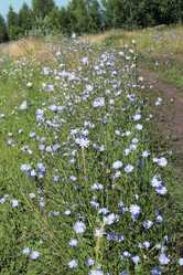 Similar image 21998727