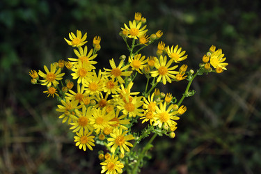 Similar image 21998728