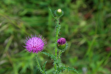 Similar image 21998729