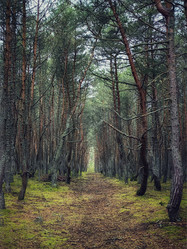 Similar image 22002098