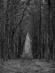 Similar image 22002099