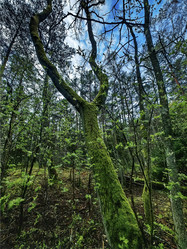 Similar image 22002100