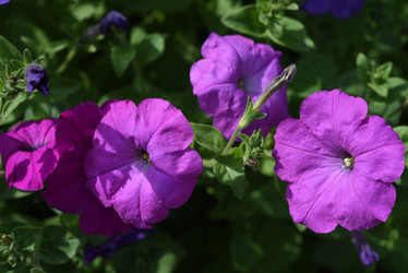 Similar image 22002219