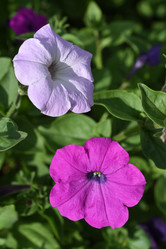 Similar image 22002220