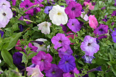 Similar image 22002222