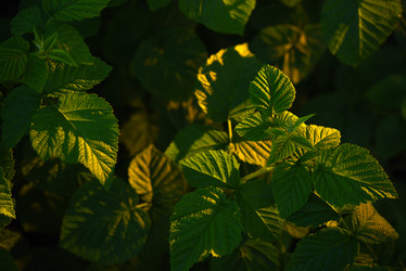 Similar image 22002231