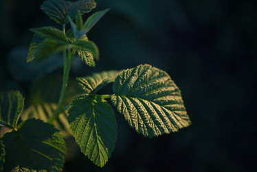 Similar image 22002233